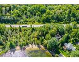 17000 Hwy 35, Algonquin Highlands, ON K0M1S0 Photo 10