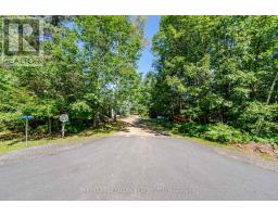 17000 Hwy 35, Algonquin Highlands, ON K0M1S0 Photo 14
