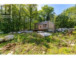 17000 Hwy 35, Algonquin Highlands, ON K0M1S0 Photo 18