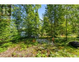 17000 Hwy 35, Algonquin Highlands, ON K0M1S0 Photo 19