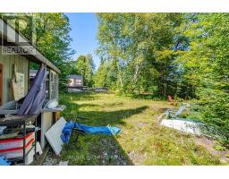 17000 Hwy 35, Algonquin Highlands, ON K0M1S0 Photo 22