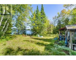 17000 Hwy 35, Algonquin Highlands, ON K0M1S0 Photo 23