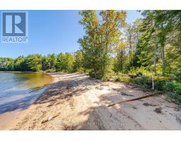 17000 Hwy 35, Algonquin Highlands, ON K0M1S0 Photo 27