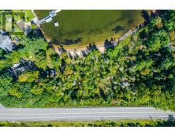 17000 Hwy 35, Algonquin Highlands, ON K0M1S0 Photo 8