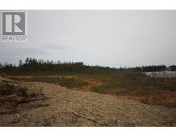 62A Inner Pond North Road thumbnail 4