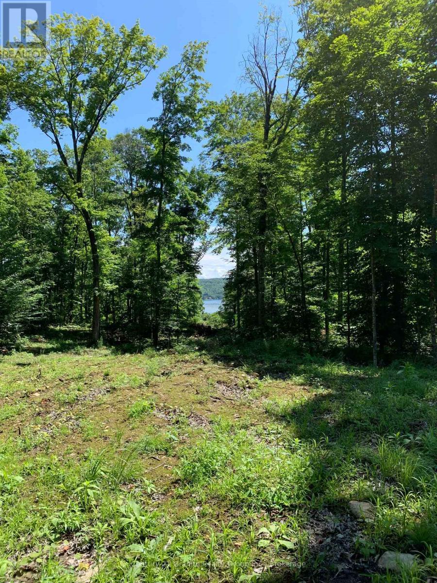 1914 Kennisis Lake Road — photo 27