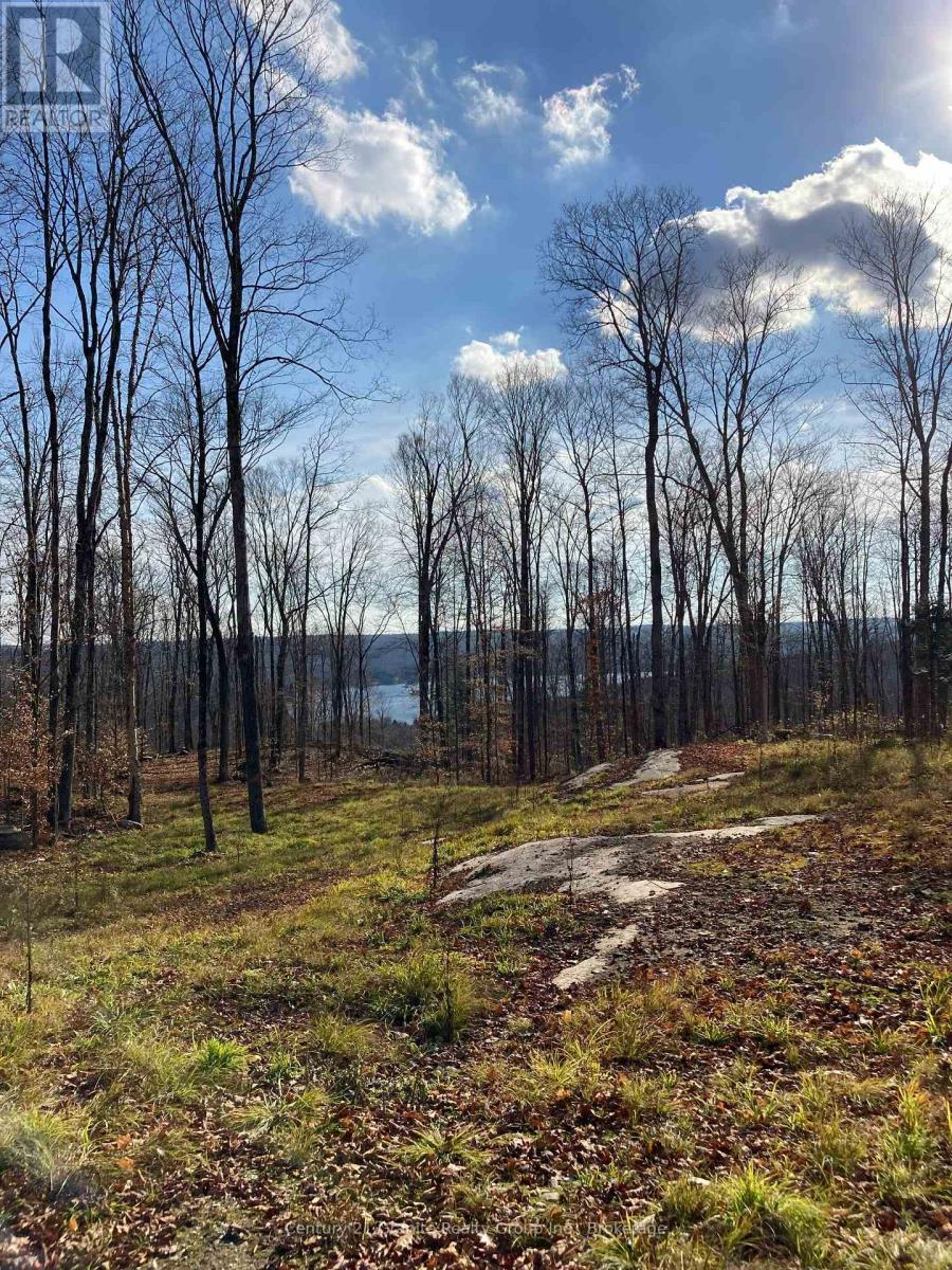 1914 Kennisis Lake Road — photo 29