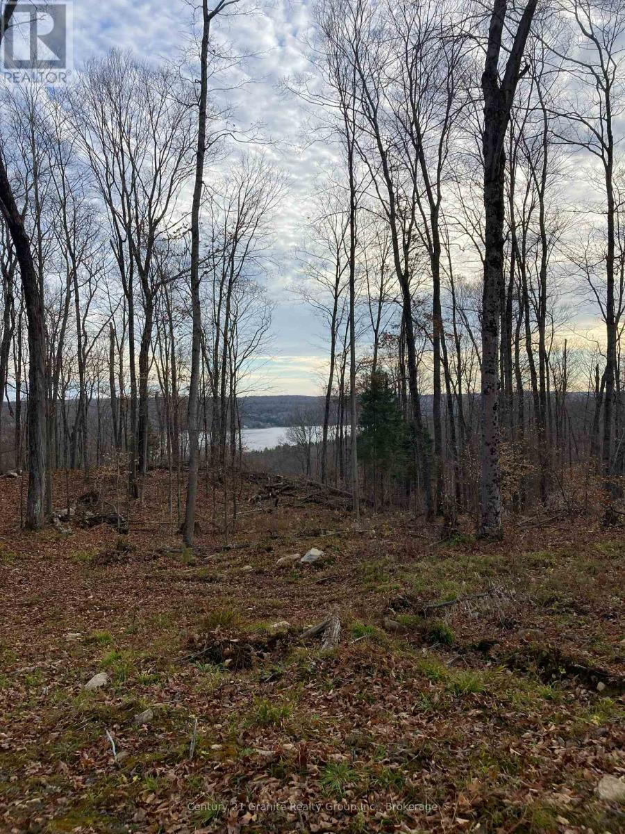 1914 Kennisis Lake Road — photo 30