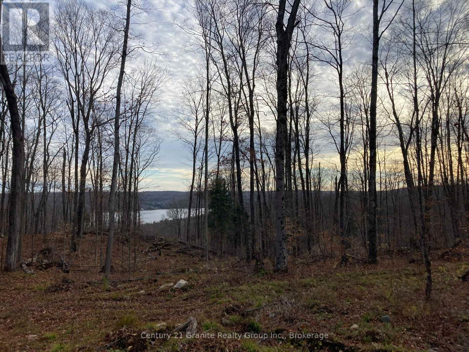 1914 Kennisis Lake Road — photo 31