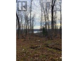 1914 Kennisis Lake Road, Dysart Et Al, ON K0M1S0 Photo 30