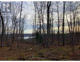 1914 Kennisis Lake Road, Dysart Et Al, ON K0M1S0 Photo 31
