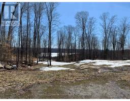 1914 Kennisis Lake Road, Dysart Et Al, ON K0M1S0 Photo 33