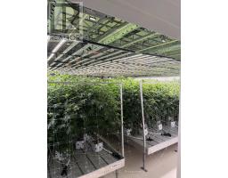 2n Watabeag Road, Kirkland Lake, ON P0K1S0 Photo 45