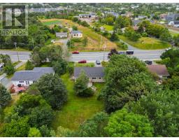 368 Conception Bay Highway thumbnail 29