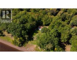 811 Route 715, Coles Island, NB E4C2L3 Photo 46