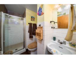 4808 106 Av Nw, Edmonton, AB T6A1E6 Photo 19