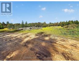 810 Laforest Road, Timmins, ON P4P7C7 Photo 30