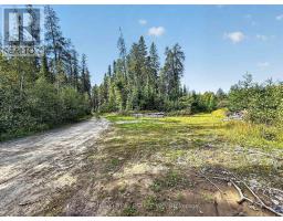 810 Laforest Road, Timmins, ON P4P7C7 Photo 33