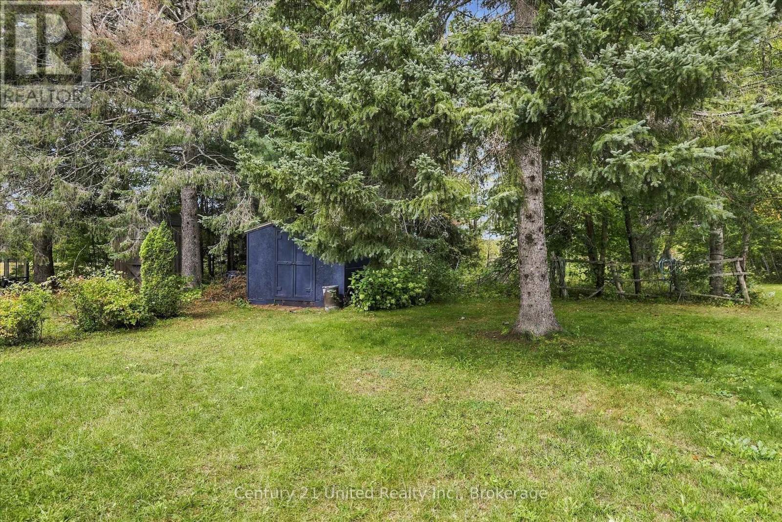 164 Hillside Drive, Kawartha Lakes, ON photo 34