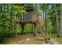 11 Snowshoe Trail, Oro Medonte, ON L0K1N0 Photo 42