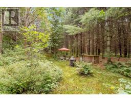 3400 Baldwick Lane, Springwater, ON L0M1T2 Photo 42