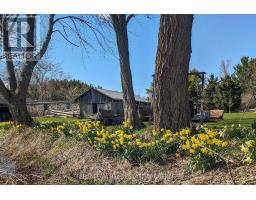 3400 Baldwick Lane, Springwater, ON L0M1T2 Photo 46