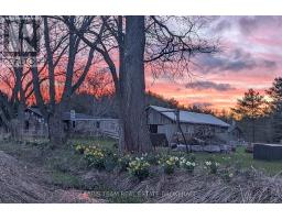 3400 Baldwick Lane, Springwater, ON L0M1T2 Photo 47