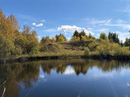 50054 Railway Avenue, Molson, MB R0E0C0 Photo 19