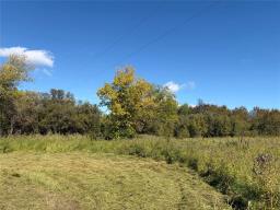 50054 Railway Avenue, Molson, MB R0E0C0 Photo 22
