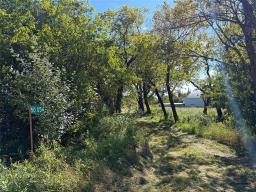 50054 Railway Avenue, Molson, MB R0E0C0 Photo 27
