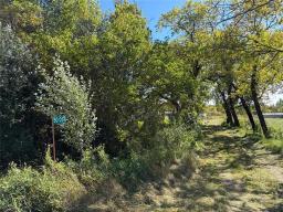 50054 Railway Avenue, Molson, MB R0E0C0 Photo 28