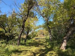 50054 Railway Avenue, Molson, MB R0E0C0 Photo 24