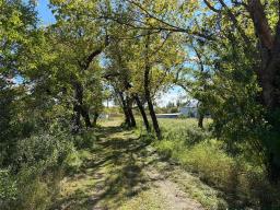 50054 Railway Avenue, Molson, MB R0E0C0 Photo 29
