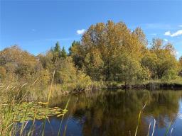 50054 Railway Avenue, Molson, MB R0E0C0 Photo 18
