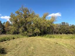 50054 Railway Avenue, Molson, MB R0E0C0 Photo 21