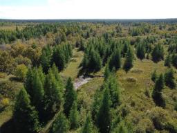 50054 Railway Avenue, Molson, MB R0E0C0 Photo 9
