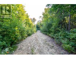 1010 Four Mile Lake Road, North Bay, ON P1B8G2 Photo 13