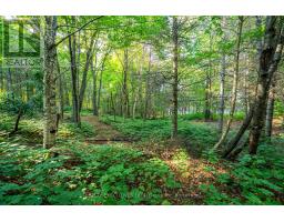 1010 Four Mile Lake Road, North Bay, ON P1B8G2 Photo 16