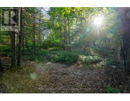 1010 Four Mile Lake Road, North Bay, ON P1B8G2 Photo 17