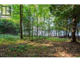 1010 Four Mile Lake Road, North Bay, ON P1B8G2 Photo 18