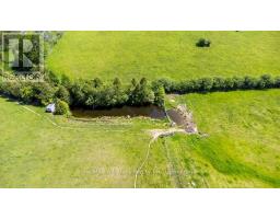 402 Mount Horeb Road, Kawartha Lakes, ON K0L2X0 Photo 46