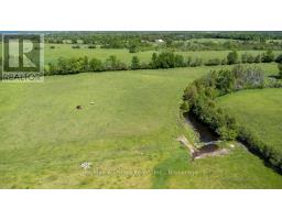 402 Mount Horeb Road, Kawartha Lakes, ON K0L2X0 Photo 47
