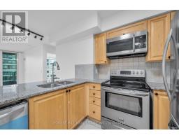 705 - 33 Elm Drive W, Mississauga, ON L5B4L2 Photo 11