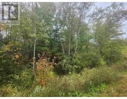 43 Acres Findley Road, North Noel Road, NS B0N1T0 Photo 7