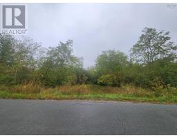 43 Acres Findley Road, North Noel Road, NS B0N1T0 Photo 6