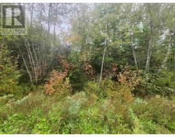 43 Acres Findley Road, North Noel Road, NS B0N1T0 Photo 8