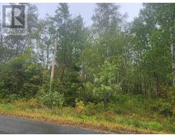 43 Acres Findley Road, North Noel Road, NS B0N1T0 Photo 11