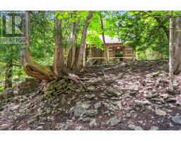 198 Pasmore Street, Guelph/eramosa, ON N0B2K0 Photo 44