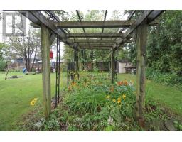 126 Lakeside Drive, Selwyn, ON K0L1T0 Photo 14