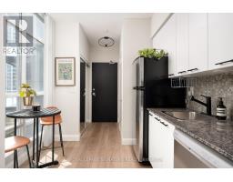 804 - 15 Bruyeres Mews, Toronto, ON M5V0A7 Photo 20